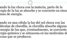 ¿Cuáles son las funciones de la luz y de la clorofila?